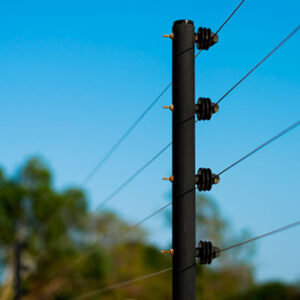 Cerca Elétrica: Proteja Sua Casa com Segurança e Eficiência 1º 1 Cerca Elétrica em salvador e Lauro de Freitas
